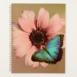 Agenda Daisy y Morpho