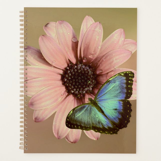 Agenda Daisy y Morpho (Anverso)