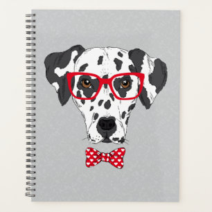 Agenda Dalmacia de moda