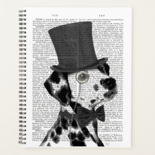 Agenda Dálmata, Gorra y hedor formal