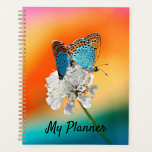 Agenda Dama Americana
