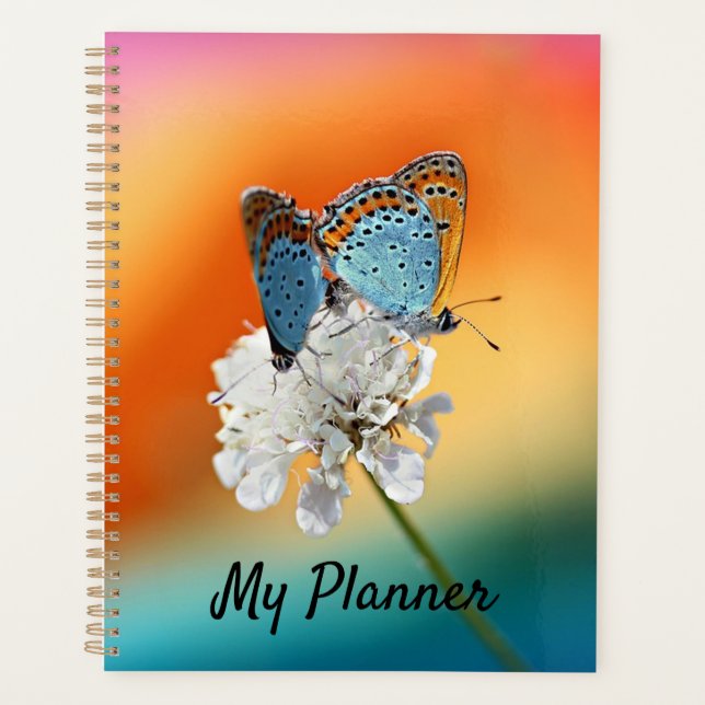 Agenda Dama Americana (Anverso)