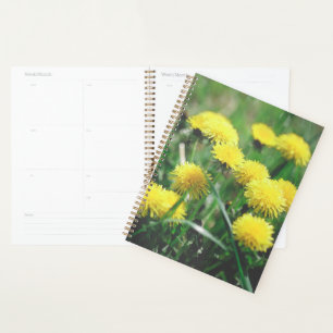 Agenda Dandelion Flowers Dandelions Yellow Green