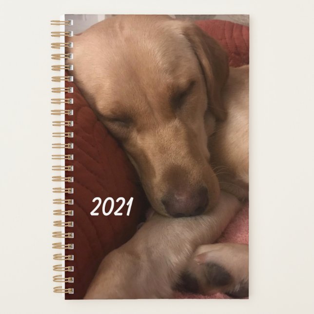 Agenda de Cachorro (Anverso)