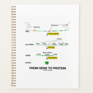 Agenda De La Biología Molecular Genética A La Proteína