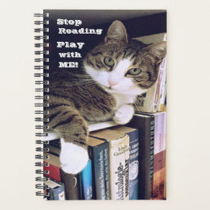 Agenda ¡Deja De Leer, Juega Conmigo! El gato exige atenc