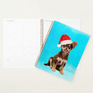 Agenda Dejemos que Nieva a los Navidades Chihuahua Perro
