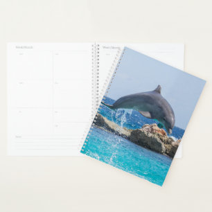 Agenda Delfín
