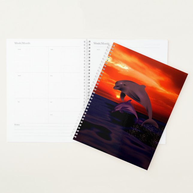 Agenda Delfines al atardecer (Demostración)