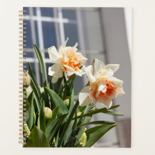 Agenda Delicada primavera de daffodils tiernos