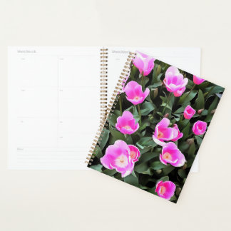 Agenda Delicados tulipanes rosas de Estambul