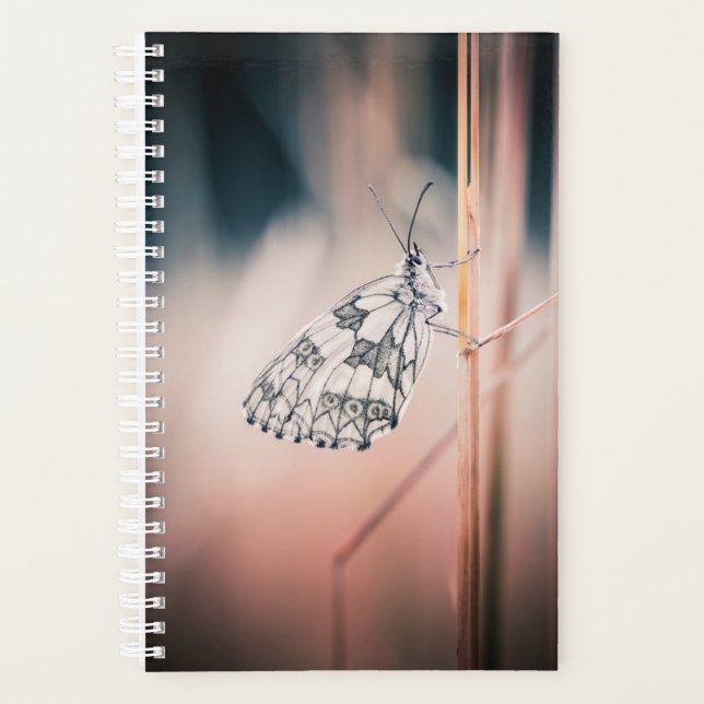 Agenda Demi-deuil (Anverso)