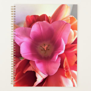 Agenda Dentro de un tulipán rosado