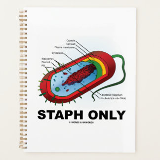 Agenda Diagrama del estado Sólo bacterias de Prokaryote