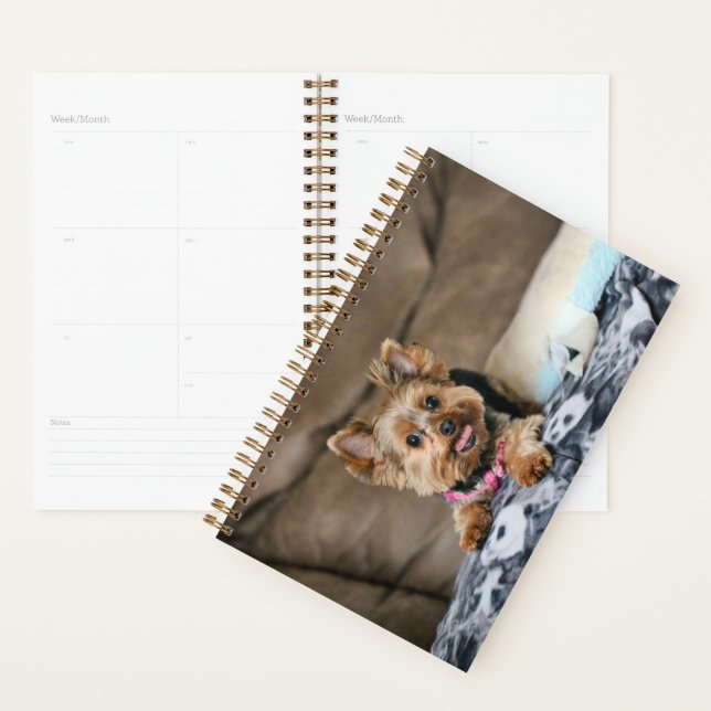 Agenda Dínamo pequeño (Demostración)