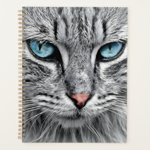Agenda Diseño fractal de cara de gato-10682