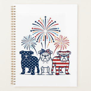 Agenda Diseño vectorial vintage de fuegos artificiales de