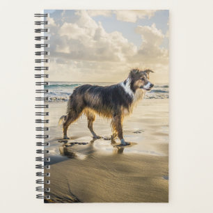 Agenda Divertido de la playa de Collie Perro