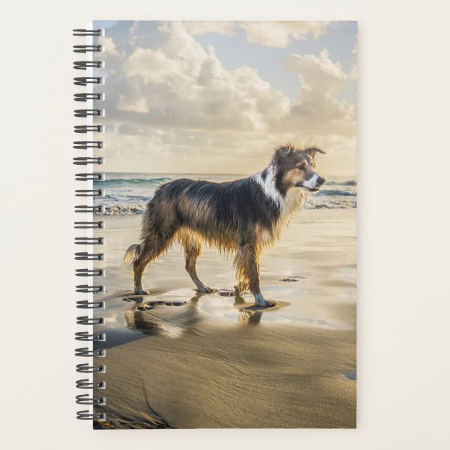 Agenda Divertido de la playa de Collie | Perro (Anverso)