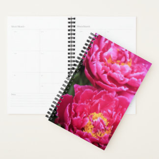 Agenda Dos peones de fucsia florecen con pintura