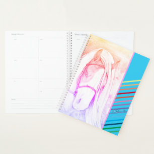 Agenda Dos tonos (arco iris)