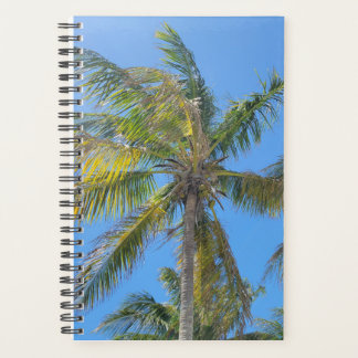 Agenda Dóseles Tranquilos