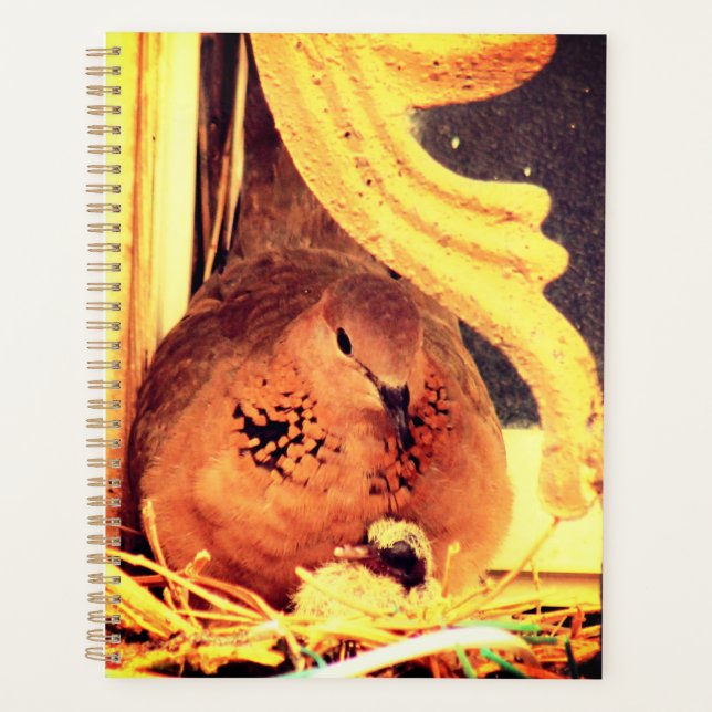 Agenda Doting Mama Dove (Anverso)