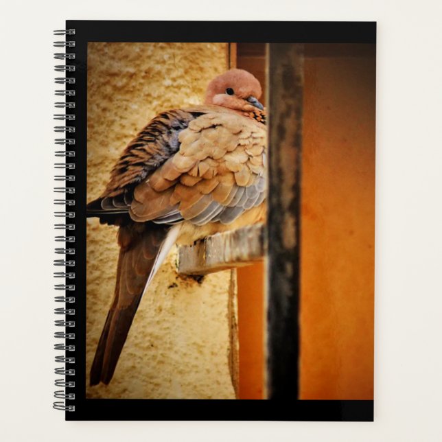 Agenda Dozing Dove (Anverso)