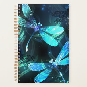 Agenda Dragonflies