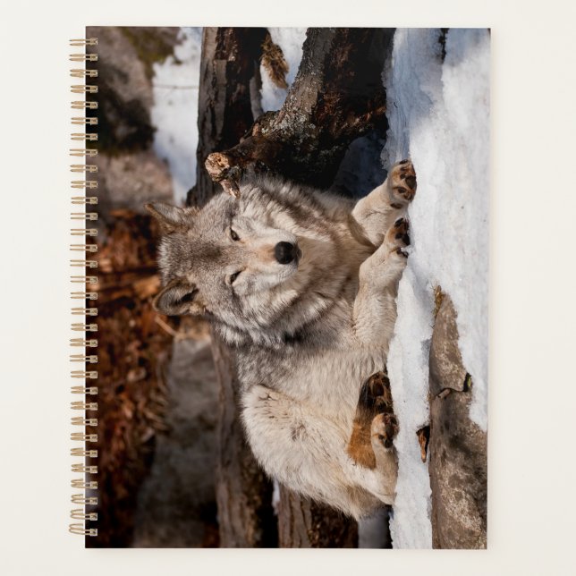 Agenda Easttern Gray Wolf (Anverso)