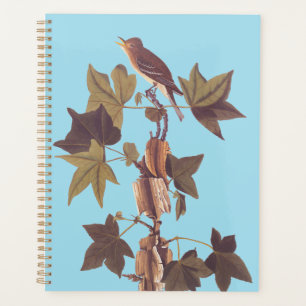 Agenda El pájaro del Flycatcher del Sendero Audubon