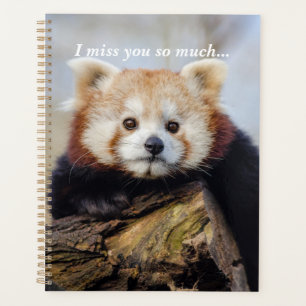 Agenda El Panda Rojo Cuerdo Te Extraña Tanto