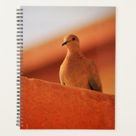 Agenda El rostro del bloc de notas de determinación