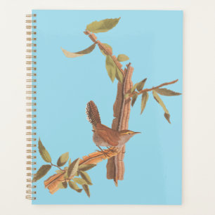 Agenda El viejo pájaro de la canción Wren de Audubon