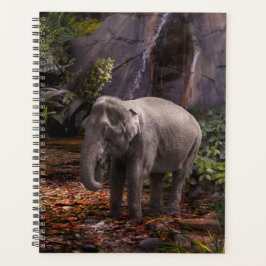 AGENDA ELEFANTE BOSQUE DE LLUVIA