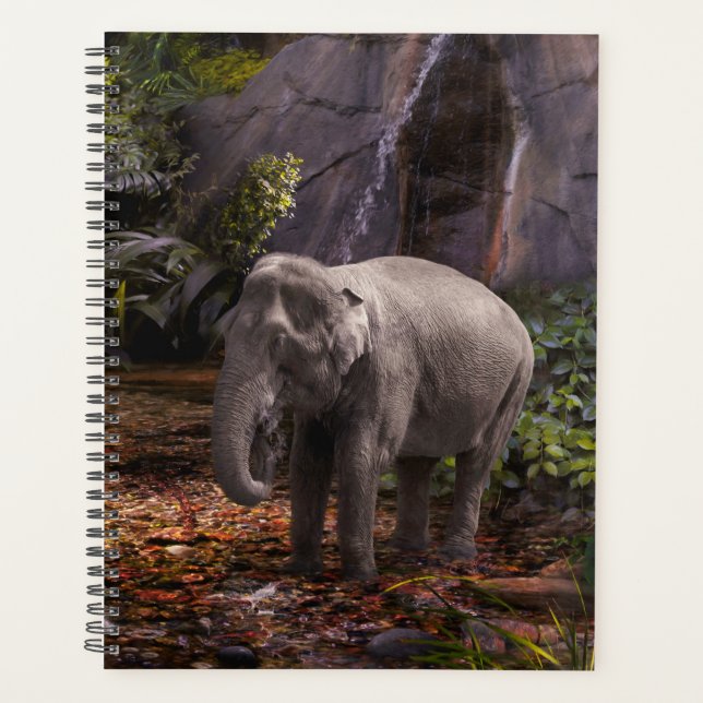AGENDA ELEFANTE BOSQUE DE LLUVIA (Anverso)