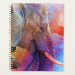 AGENDA ELEFANTE RECORDANDO AGUAS SAGRADAS