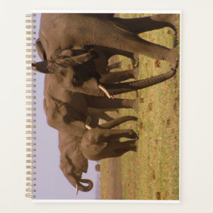 Agenda Elefantes de Chobe Planner