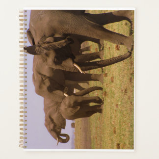 Agenda Elefantes de Chobe Planner