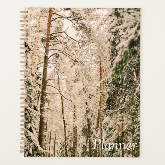 Agenda Elegante 2025 (Anverso)