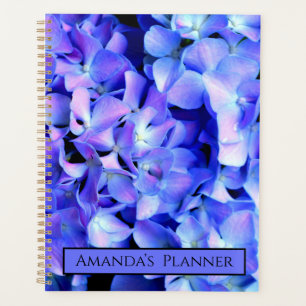 Agenda Elegante magenta azul púrpura de color claro hidra