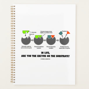 Agenda En La Vida ¿Eres Enzima O Sustrato? Ajuste inducid