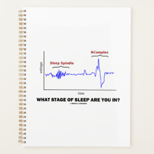Agenda ¿En Qué Etapa De Dormir Estás?