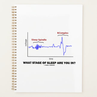 Agenda ¿En Qué Etapa De Dormir Estás?