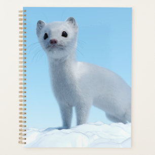 Agenda Encanto de Comadreja Ártica