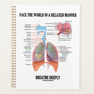 Agenda Enfrenta el mundo de una manera relajada Respira p