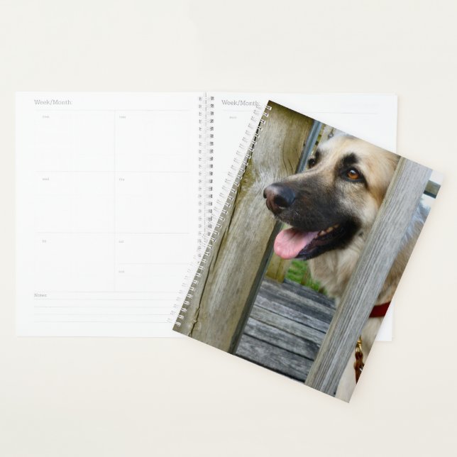 Agenda Enmarcado (Demostración)