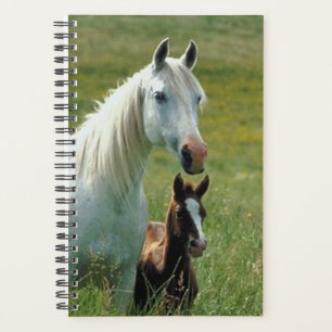 Agenda Equine Mare Foal Tall Grass