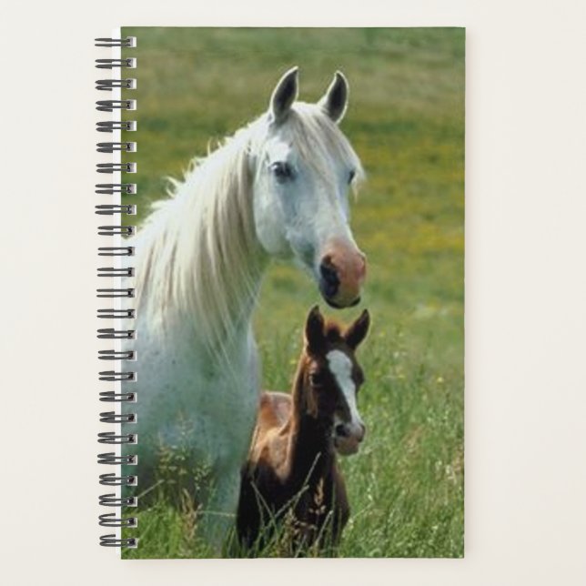 Agenda Equine Mare Foal Tall Grass (Anverso)