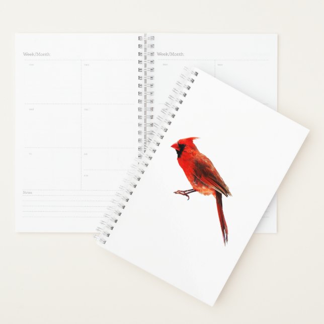 Agenda Escarlata (Demostración)